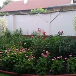 Siofok, Balaton 6 Апартаменты