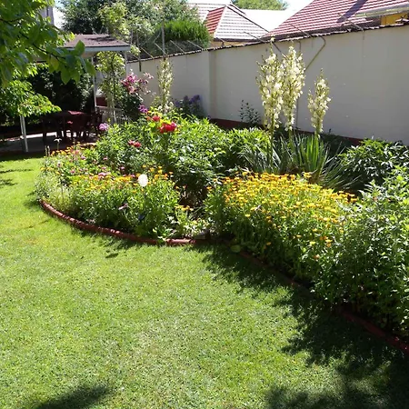 Апартаменты Siofok, Balaton 6 *