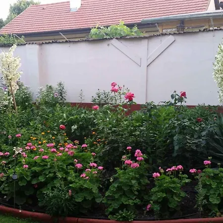 Siofok, Balaton 6 Lägenhet