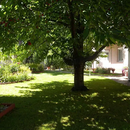 Siofok, Balaton 6 Шиофок