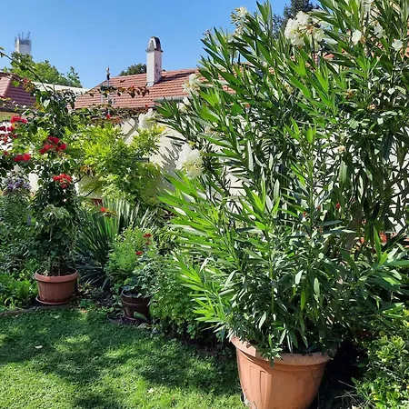 Апартаменты Siofok, Balaton 6 *